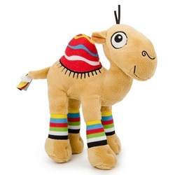 Gus Camel