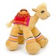 Cool Camel