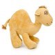 Cut Camel
