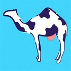 Рецепт: Как сделать верблюжье молоко частью Вашего здорового образа жизни.