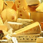 Самые редкие виды сыра из молока различных животных