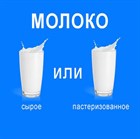 Сырое или пастеризованное верблюжье молоко?