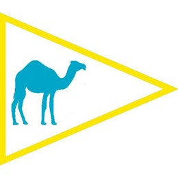 8 февраля - открытие онлайн-магазина camelmilk.kz в Казахстане. 8 февраля - открытие онлайн-магазина camelmilk.kz в Казахстане.
