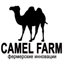 В онлайн-магазине Сamelmilk.Boutique теперь можно купить живое поголовье верблюдов В онлайн-магазине Сamelmilk.Boutique теперь можно купить живое поголовье верблюдов