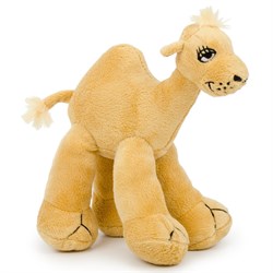 Cool Camel - средний